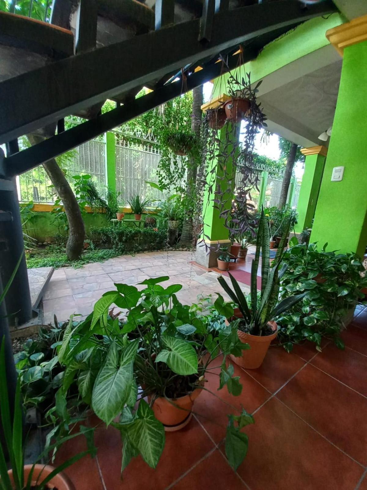 Hostal San Antonio León Εξωτερικό φωτογραφία